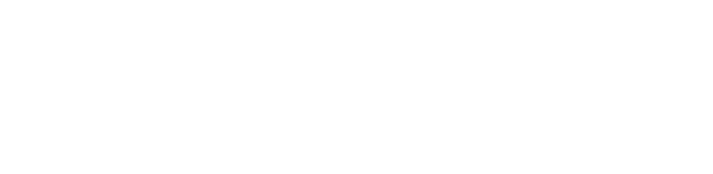 winterfell bengal's throne bengal brown seal mink point sepia lynx tabby rosettes wild cat chat élevage sud vaucluse chaton chatterie mignon réservation adoption kitten exposition loof tica wcf sauvage panthère léopard alc winterfell